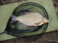 Bream5 11 25Mar05  5-11,  Pumphouse Lake, Yateley, 25/03/05