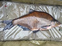 Bream6-01  6-01, R Trent, 27/07/25