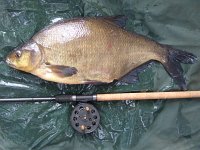 Bream9-05  9-05 (PB), Pumphouse Lake, Yateley