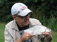 Sbream1-03  1-03, Silver bream, Mill Farm Lake, Sussex 30/07/15