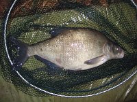 Thames7 01Oct12 07  7-01, Windsor, R Thames, 12/07/08