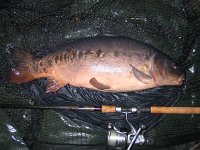 13-14 from the Blue Pool