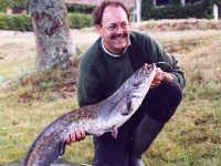 22-08 from L'Etang Rouge in France