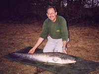37-10 from L'Etang Rouge in France