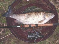 5-02, St Patrick's Stream