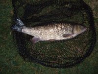 4-01, Burghfield, R Kennet