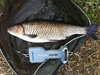 4-02, LLanthomas, R Wye