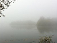 A foggy morning on Wraysbury 1  A foggy morning on Wraysbury 1