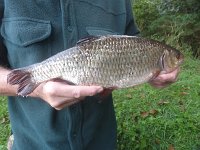 2-01 from Lochnaw, 28/09/15