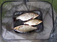 2-10, 2-06 & 1-04, all 10/07/16