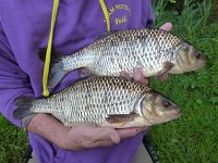 2-10 & 2-06 from Lochnaw, 10/07/16